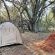 Lindani Game and Lodges - 274787
