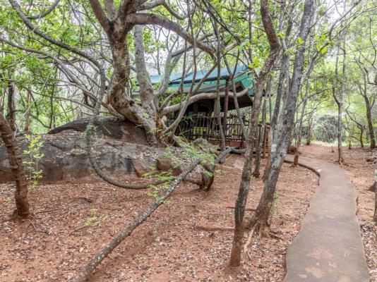 Lindani Game and Lodges - 274816