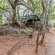 Lindani Game and Lodges - 274816