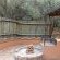 Lindani Game and Lodges - 274818