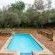 Lindani Game and Lodges - 274819