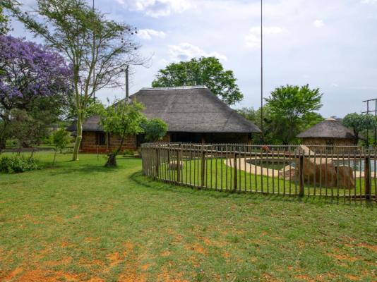 Lindani Game and Lodges - 274849