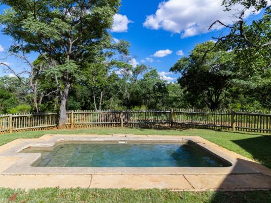 Lindani Game and Lodges - 274858
