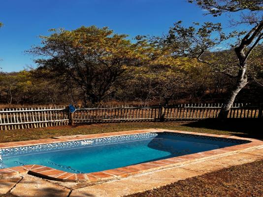 Lindani Game and Lodges - 274863