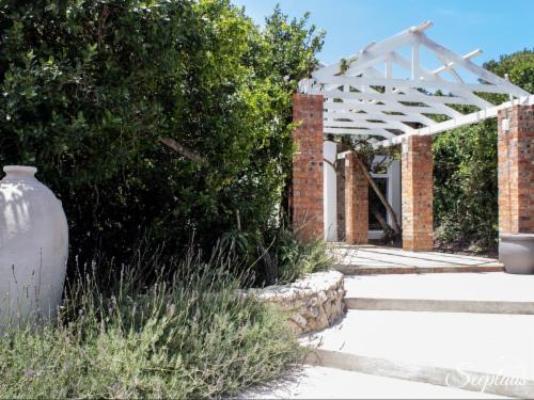 Premium Bubble Tent - Garden
