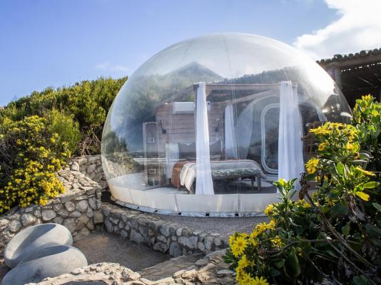 Premium Bubble Tent - 274999