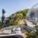 Premium Bubble Tent - 275005