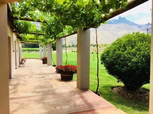 Oaksrest Vineyards Guest Farm - 275088