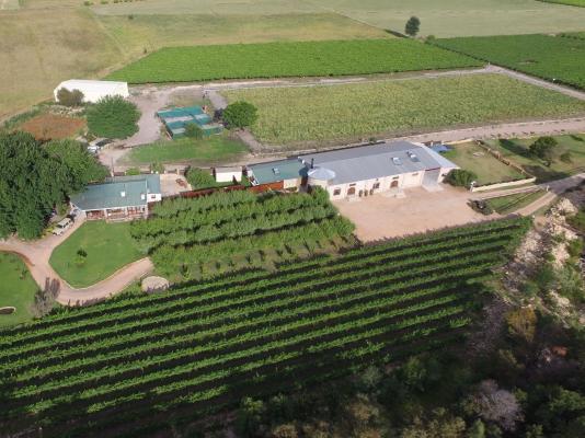 Oaksrest Vineyards Guest Farm - 275092