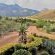 Oaksrest Vineyards Guest Farm - 275115