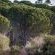 Vrede Self Catering - 275241