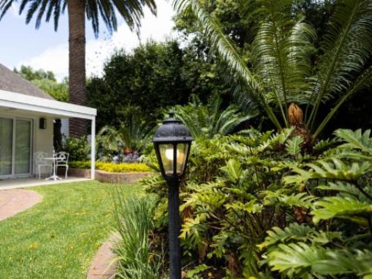 Cape Village Lodge - Garden