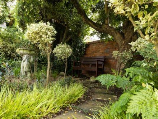 Cape Village Lodge - Garden