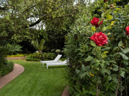 Cape Village Lodge - Garden