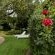 Cape Village Lodge - Garden