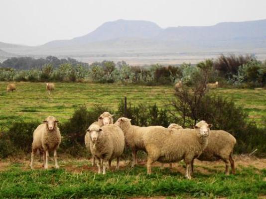 Carlton Heights Guesthouse - Natural landscape