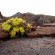 Carlton Heights Guesthouse - Natural landscape