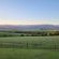 Dragons Landing Guest Farm - 275536