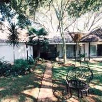 Lemon & Co - Property / Building