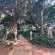 Lemon & Co - Garden