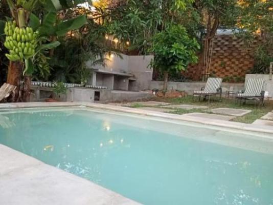 CocoMo Boutique Coastal Garden Studio - Swimming pool
