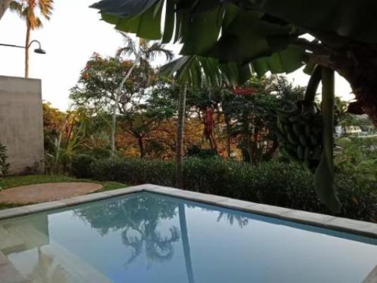 CocoMo Boutique Coastal Garden Studio - View (from property/room)