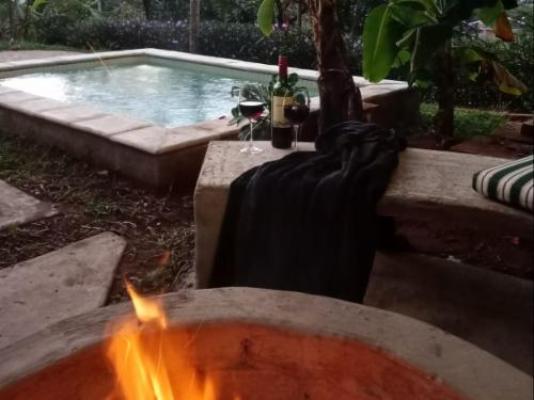 CocoMo Boutique Coastal Garden Studio - Pool view