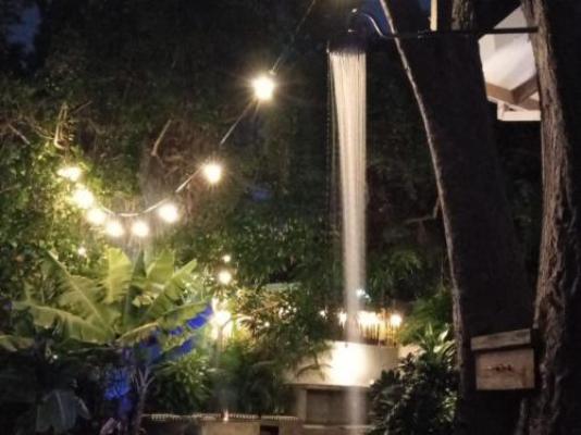 CocoMo Boutique Coastal Garden Studio - Garden