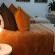 Little Tara Cottage - 276005