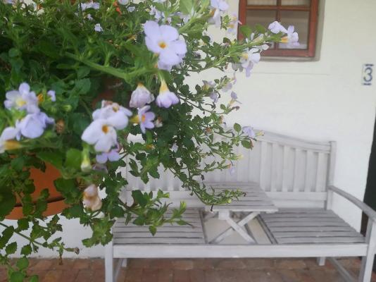 Kaijaiki Country Inn - 276135