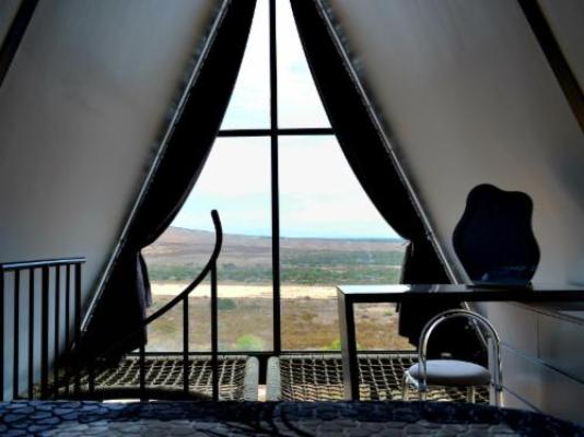 Peace Haven at Windfarm Accommodation - Photo of the whole room