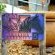 Peace Haven at Windfarm Accommodation - Property / Building