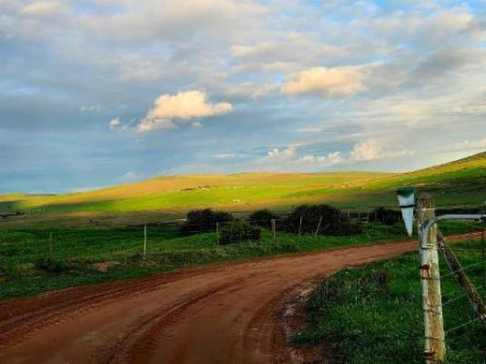 Peace Haven at Windfarm Accommodation - Natural landscape