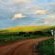 Peace Haven at Windfarm Accommodation - Natural landscape