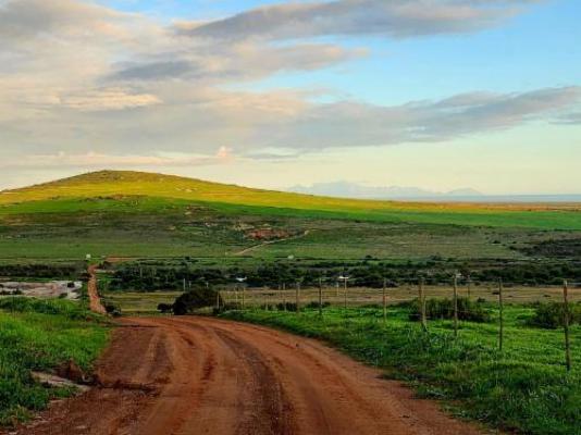 Peace Haven at Windfarm Accommodation - Natural landscape