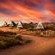 Peace Haven at Windfarm Accommodation - 276265