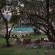Bakubung Bush Lodge - 276385