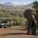 Bakubung Bush Lodge - 276390