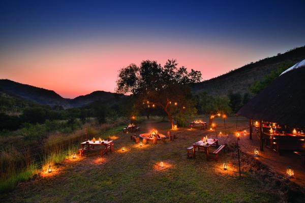 Bakubung Bush Lodge - 276414