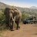 Bakubung Bush Lodge - 276419