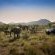Bakubung Bush Lodge - 276420