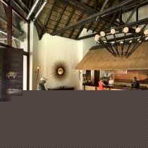Kwa Maritane Bush Lodge - 276421