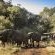 Kwa Maritane Bush Lodge - 276430