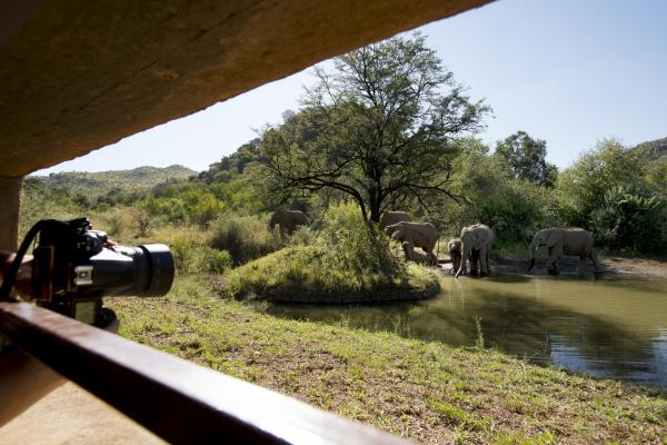 Kwa Maritane Bush Lodge - 276433