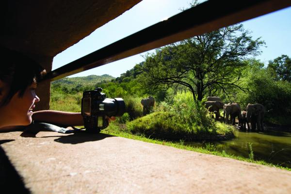 Kwa Maritane Bush Lodge - 276434