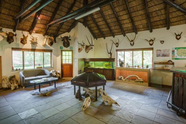 Kwa Maritane Bush Lodge - 276463