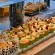 DAVINCI Hotel and Suites - 276471