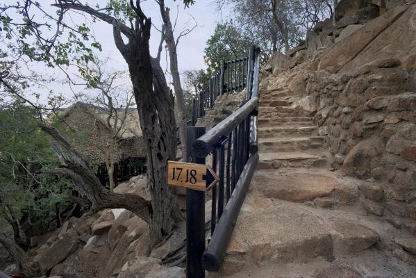 Tshukudu Bush Lodge - 276501