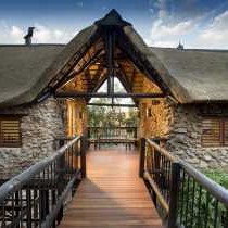 Tshukudu Bush Lodge - 276502
