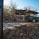 Tshukudu Bush Lodge - 276509